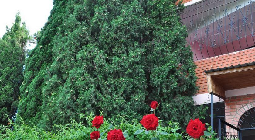Гостиница Фламинго Алушта-22